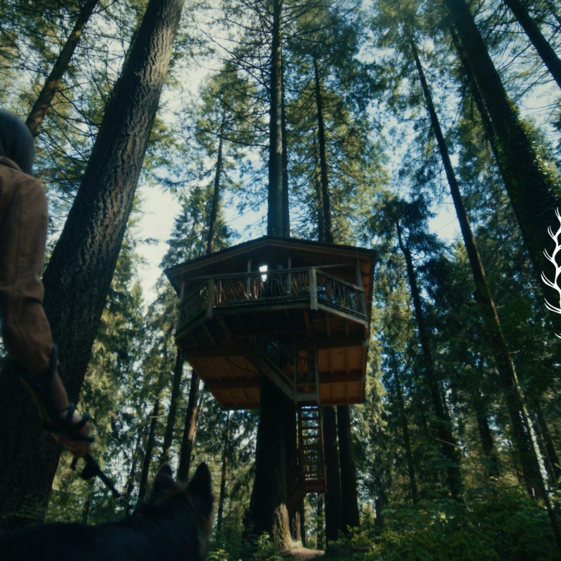 Imagen de Portara Horror Fest